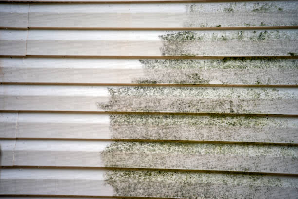 Best Demolition Debris Removal  in Elma Center, NY