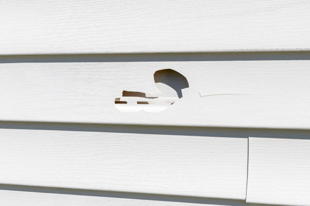 Best Property Management Cleanouts  in Elma Center, NY
