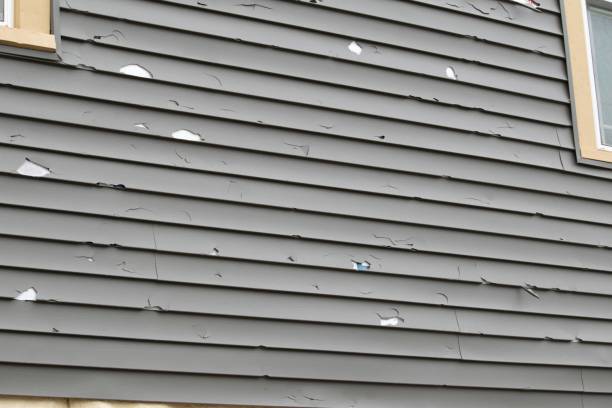 Best Construction Debris Removal  in Elma Center, NY